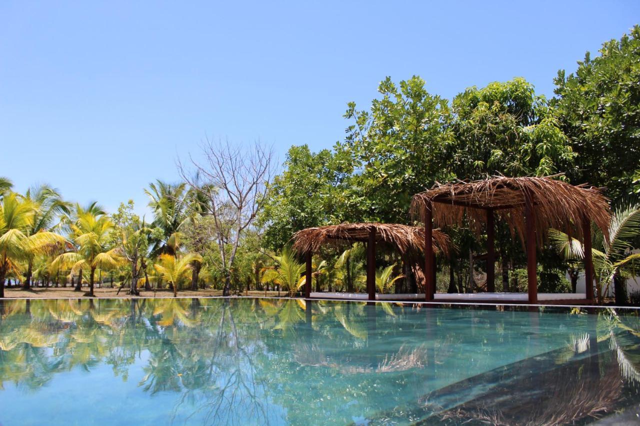 Hotel Hibiscus Garden